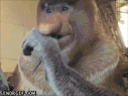 6sh7s2zuwgzk.gif
