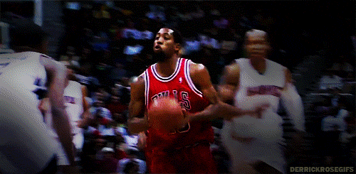 tumblr_lxk343bZA41qj966mo1_500.gif