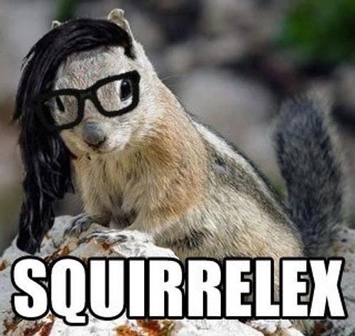 Squirrelex.jpg
