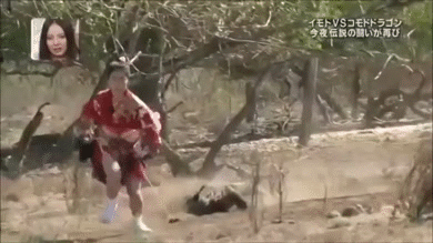 nbvkx8k8noa7.gif