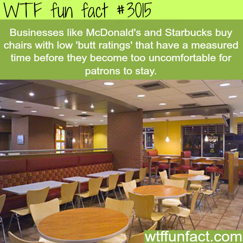 tumblr_ncdkq2txcp1roqv59o1_500.png
