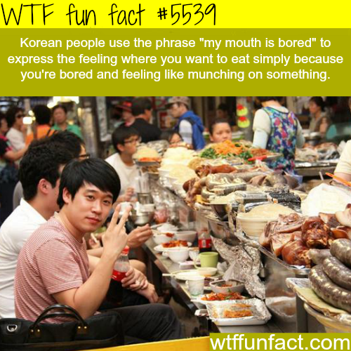 tumblr_o4pwlbn6c11roqv59o1_500.png