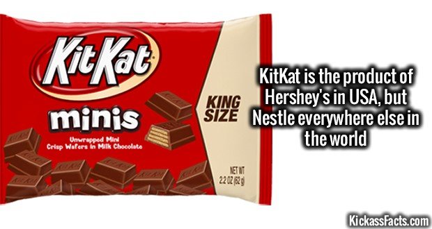 1252-Kit-Kat.jpg