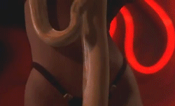 tumblr_m5u2egTIq21qbjvsro3_r1_250.gif