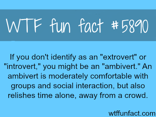 tumblr_o1s4b6HWTa1roqv59o1_500.png