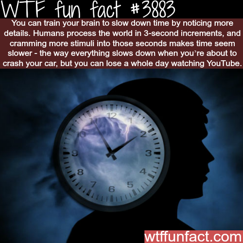 tumblr_nn816sLPDA1roqv59o1_500.png