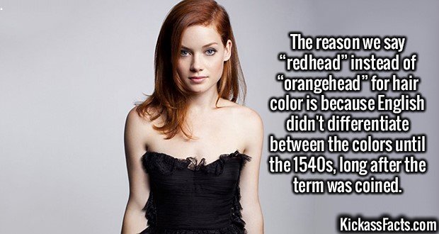 2586-Redheads.jpg