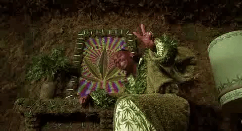 30s9r7hlsoyd.gif