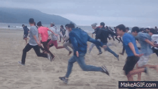 8ZOIs9.gif