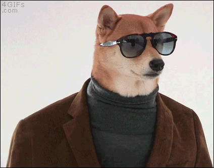 1scws3rr6osk.gif
