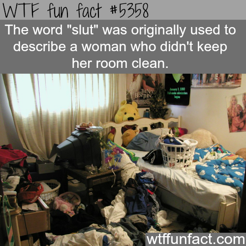 tumblr_o3r2hz4IN71roqv59o1_500.png