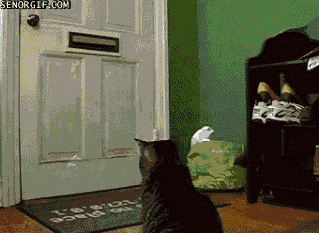 letter.gif