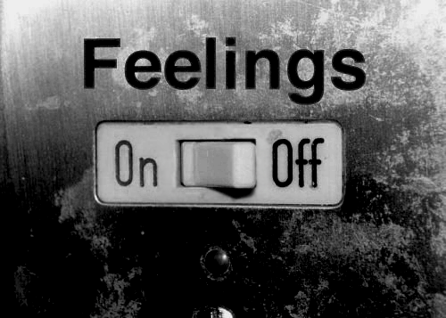 tumblr_lybx6yFwb71qfdwsio1_500.gif