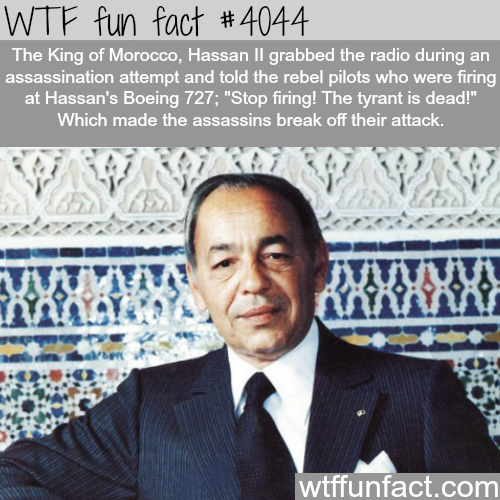 tumblr_np1fsujSGC1roqv59o1_500.png