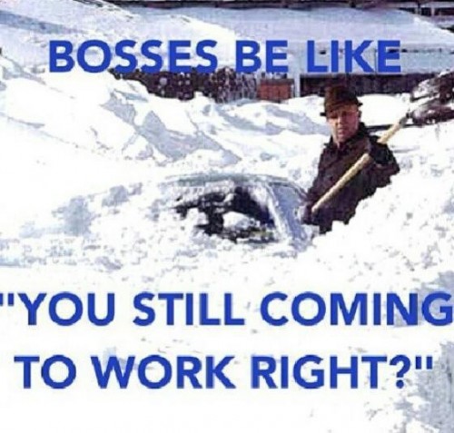 bosses-be-like...-500x477.jpg