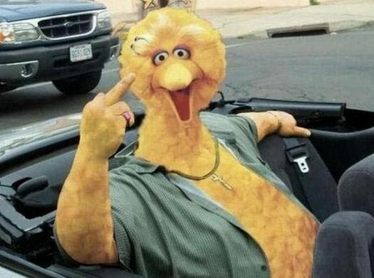 BIG+BIRD+FINGER.bmp