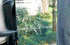 tumblr_oi20v1czVO1qdk4doo4_250.gif