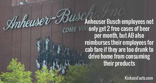 557Anheuser-Busch.jpg