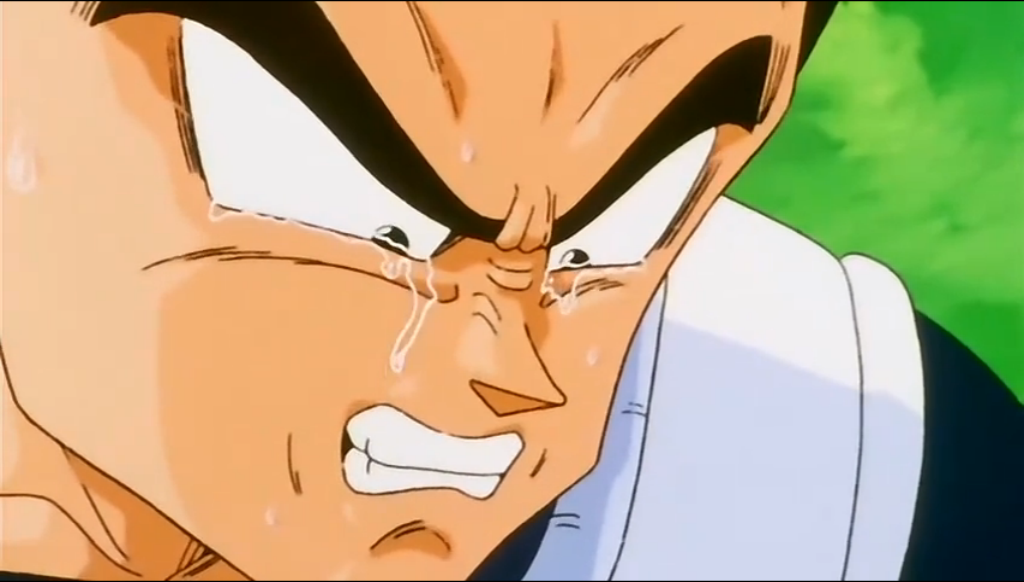 Vegeta_Crying.png
