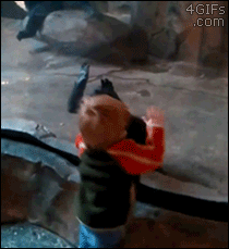 d1l0ilg0el06.gif