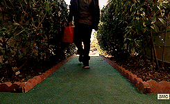 tumblr_ms4e55s9n01qb4op4o1_250.gif