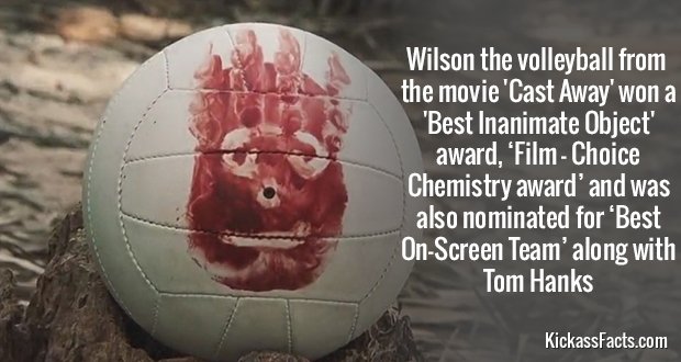 536Wilson-the-Volleyball.jpg