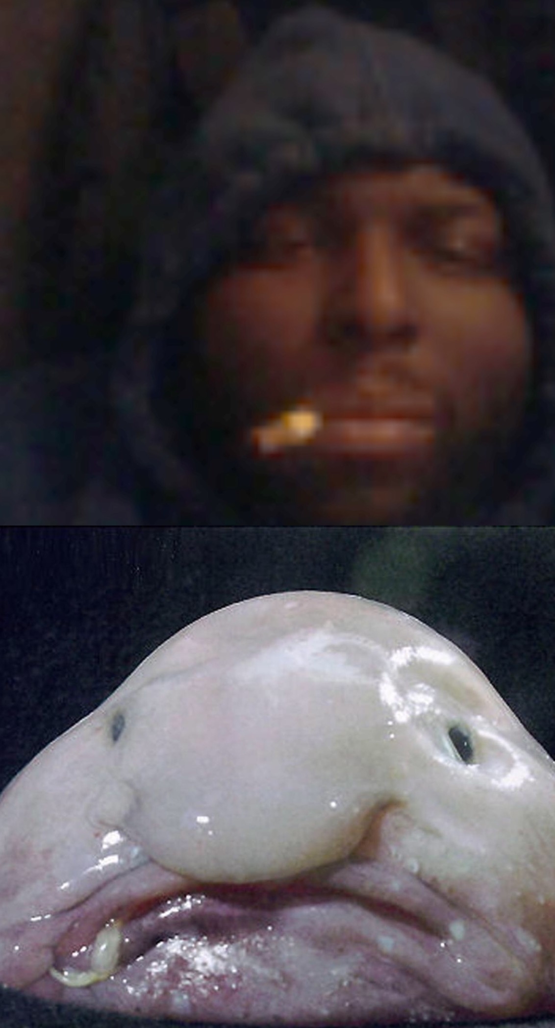 5s4oe10gdpp5.png