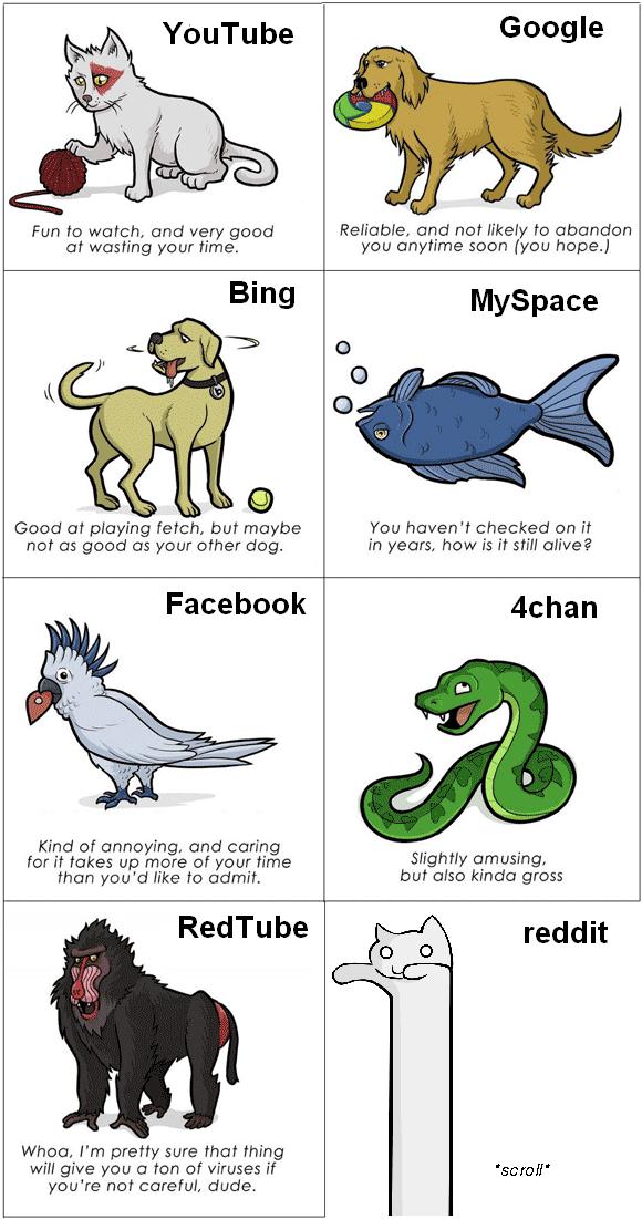 websites.jpg