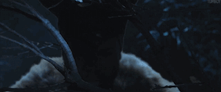 tumblr_n6sps16pFy1s9snvwo1_400.gif