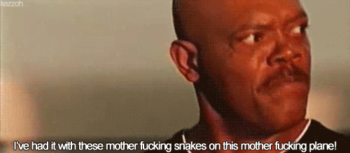 tumblr_liti2bbE0f1qb0bobo1_500.gif