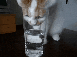 200_s.gif
