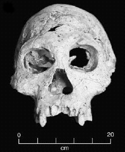 d2700.jpg