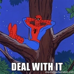 spiderman-deal-with-it.jpg