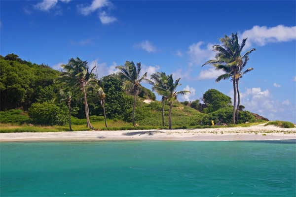 grenadines_tobago_cays.jpg