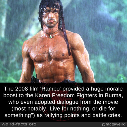 tumblr_otudakHcxw1szqwnwo1_500.jpg