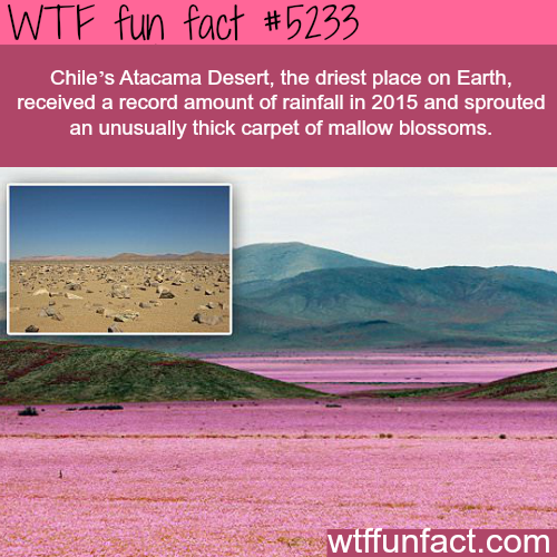 tumblr_o29eo9pwgq1roqv59o1_500.png