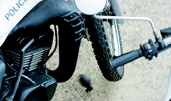 tumblr_od4l827kAg1qfsrsoo1_250.gif