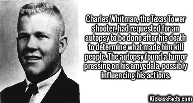 2614-Charles-Whitman.jpg