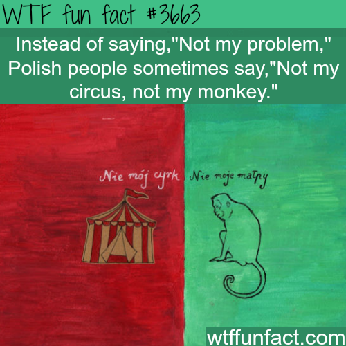 tumblr_nkm8m91pFL1roqv59o1_500.png