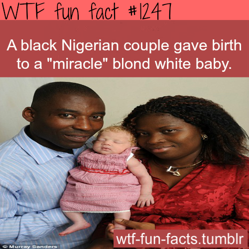 tumblr_mjbg8zoi1W1roqv59o1_500.png