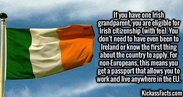 3176-Irish-Citizenship.jpg