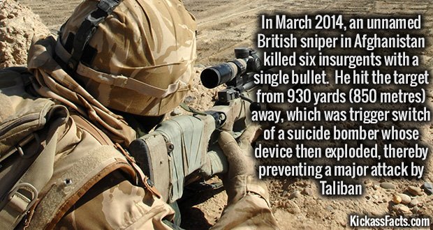 957-British-Sniper.jpg