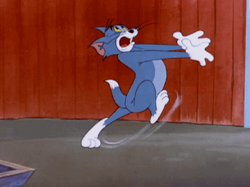 tumblr_nryn5yTI7Z1s2wio8o1_500.gif