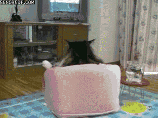 b43700e0-5013-4a93-9aa6-3c1264a397ef.gif