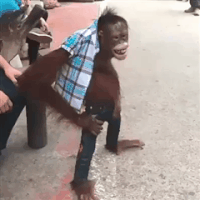 1nurqzbcodq6.gif
