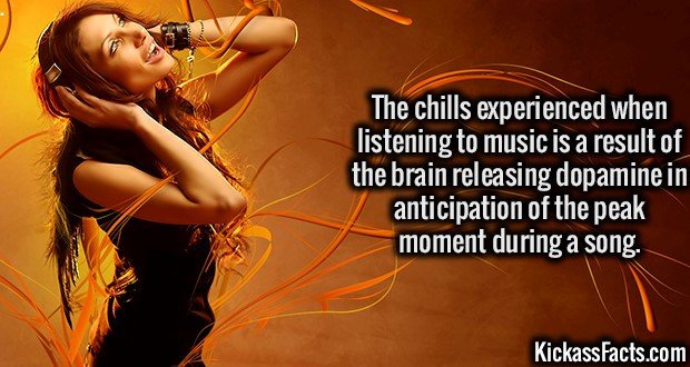 1968-Music-Dopamine.jpg