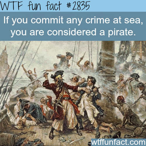 tumblr_n9whpdkmbR1roqv59o1_500.png