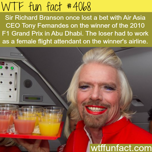 tumblr_npap3qN4Ov1roqv59o1_500.png