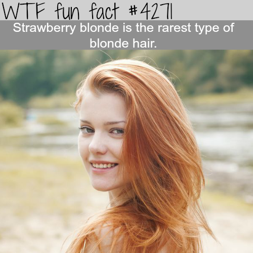 tumblr_nrfjarLdNf1roqv59o1_500.png