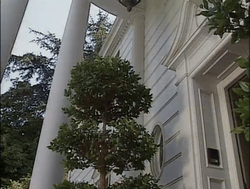 tumblr_ltiwreM13D1qbmy9ko1_500.gif